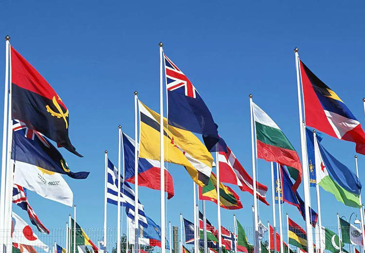 Custom Flags: Personalized Customization and Technological Innovation